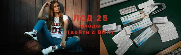 твердый Бородино