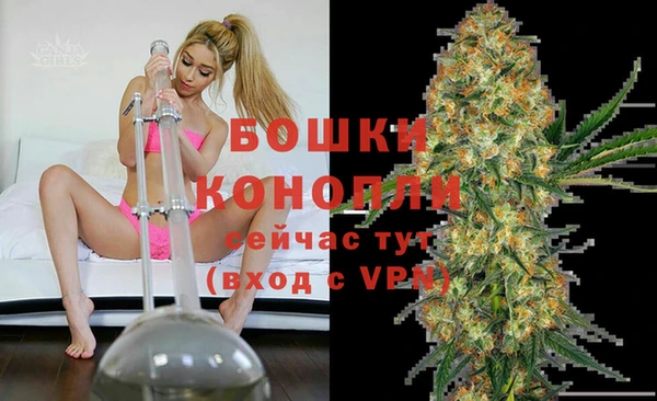 твердый Бородино