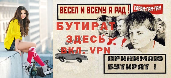 твердый Бородино