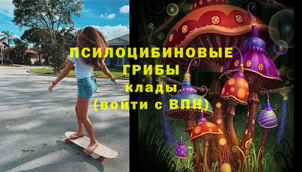твердый Бородино