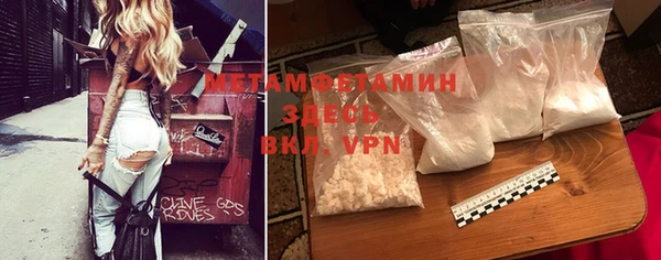 твердый Бородино