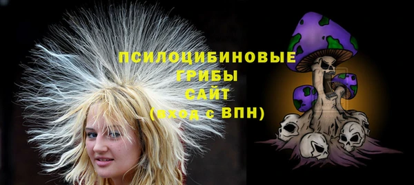 твердый Бородино