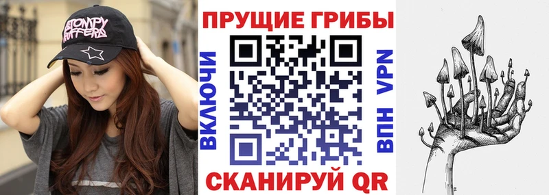 Псилоцибиновые грибы Magic Shrooms  Купить где  Котово 
